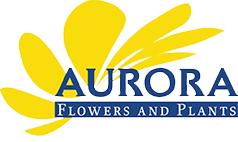 logo-Aurora-Flowers